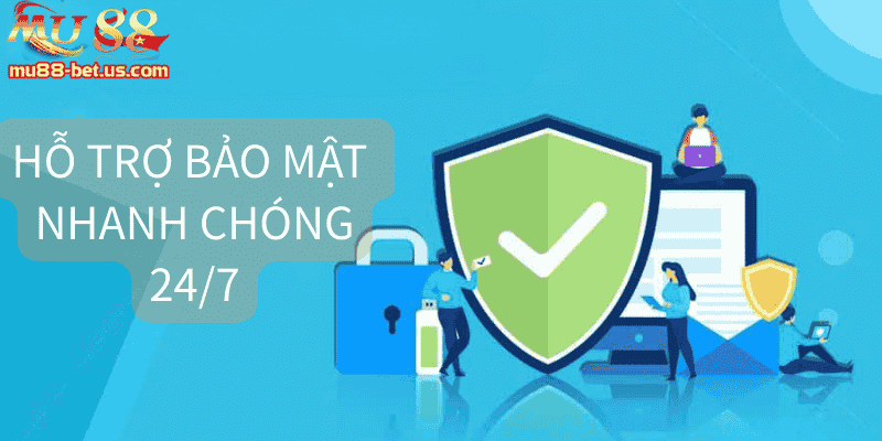 Hỗ trợ bảo mật nhanh chóng 24/7