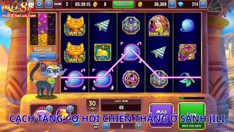 Những cách tăng cơ hội chiến thắng ở sảnh Jili