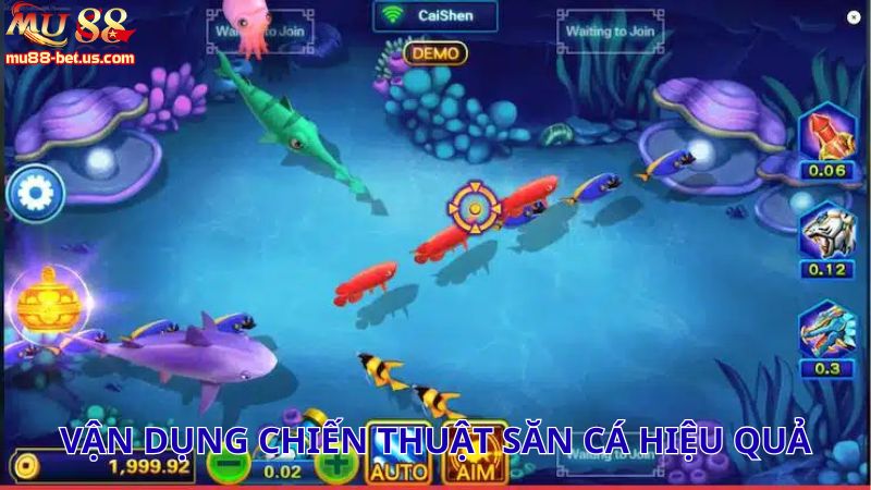 Vận dụng chiến thuật săn cá hiệu quả